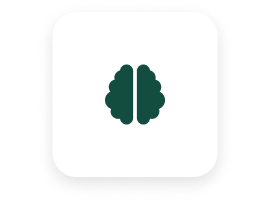 brain icon