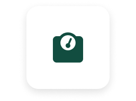 scale icon