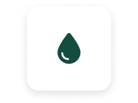 IV icon
